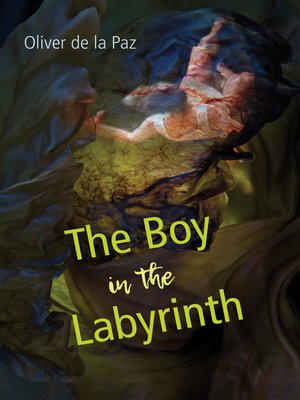cover image of The Boy in the Labyrinth